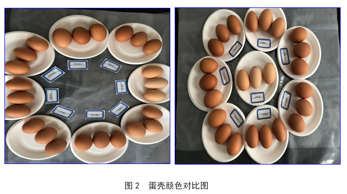 凯时最新首页登录(中国游)官方网站